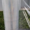湖北纏繞膜的價(jià)格,武漢拉伸膜,纏繞膜批發(fā)及生產(chǎn)廠(chǎng)家